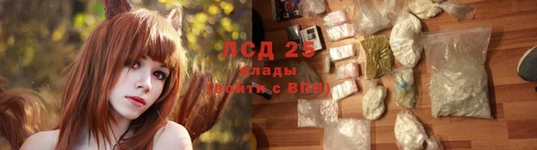 шишки Армянск