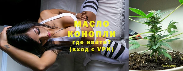 шишки Армянск